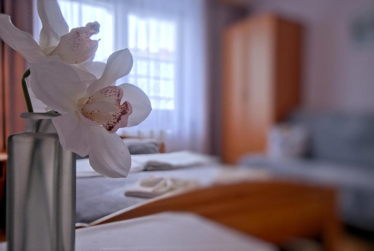 Jesionkowka - Centrum Zakopanego Homestay Zakopane